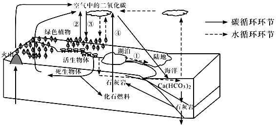 高考地理答题模板《自然环境的整体性和差异性