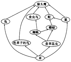 高考生物知识点《生态系统的稳定性》试题强化