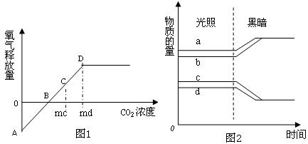 高考生物答题模板《光合作用》答题技巧(2017