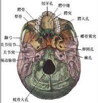 口腔医学(医学高级):口腔颌面外科学考试题(