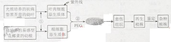 高考资源网(ks5u.com),中国最大的高考网站,您身边的高考专家。