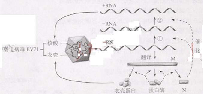 高考资源网(ks5u.com),中国最大的高考网站,您身边的高考专家。
