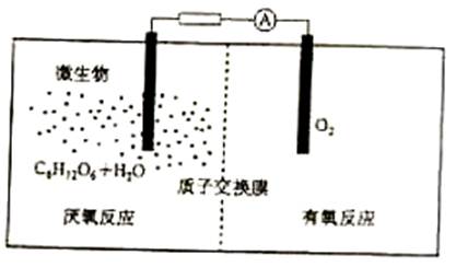 ^91߿Ƶ(^91exam.org),йĸ߿վ,ߵĸ߿רҡ