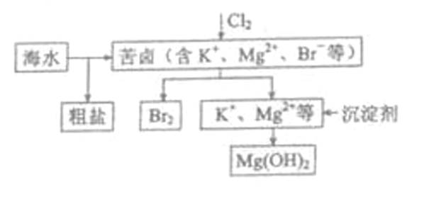 ^91߿Ƶ(^91exam.org),йĸ߿վ,ߵĸ߿רҡ