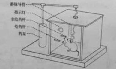 ^91߿Ƶ(^91exam.org),йĸ߿վ,ߵĸ߿רҡ