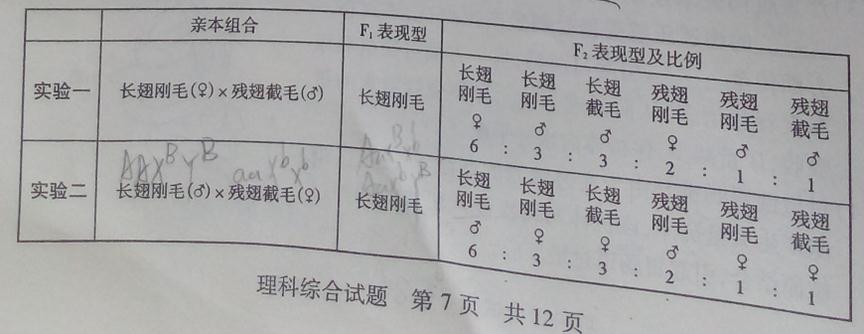 ^91߿Ƶ(^91exam.org),йĸ߿վ,ߵĸ߿רҡ