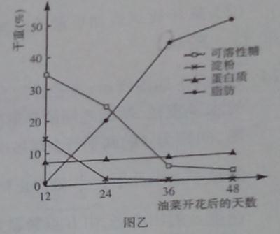 ^91߿Ƶ(^91exam.org),йĸ߿վ,ߵĸ߿רҡ