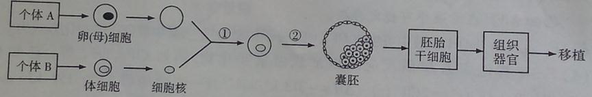 ^91߿Ƶ(^91exam.org),йĸ߿վ,ߵĸ߿רҡ