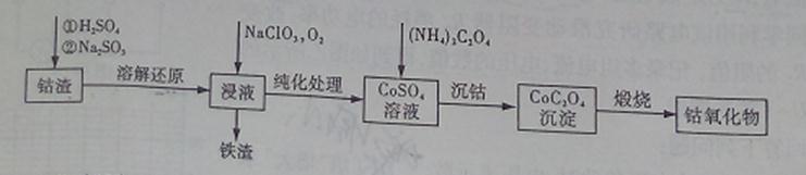 ^91߿Ƶ(^91exam.org),йĸ߿վ,ߵĸ߿רҡ