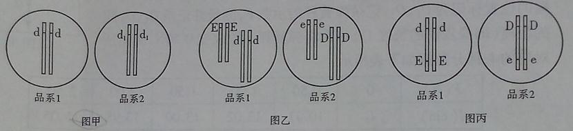 ^91߿Ƶ(^91exam.org),йĸ߿վ,ߵĸ߿רҡ