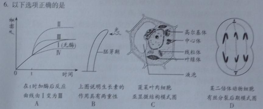 ^91߿Ƶ(^91exam.org),йĸ߿վ,ߵĸ߿רҡ