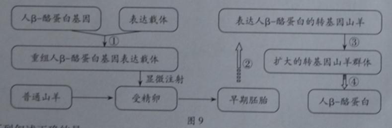 ^91߿Ƶ(^91exam.org),йĸ߿վ,ߵĸ߿רҡ