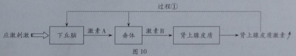 ^91考试网高考频道(^91exam.org),中国最大的高考网站,您身边的高考专家。