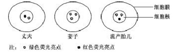 ^91考试网高考频道(^91exam.org),中国最大的高考网站,您身边的高考专家。