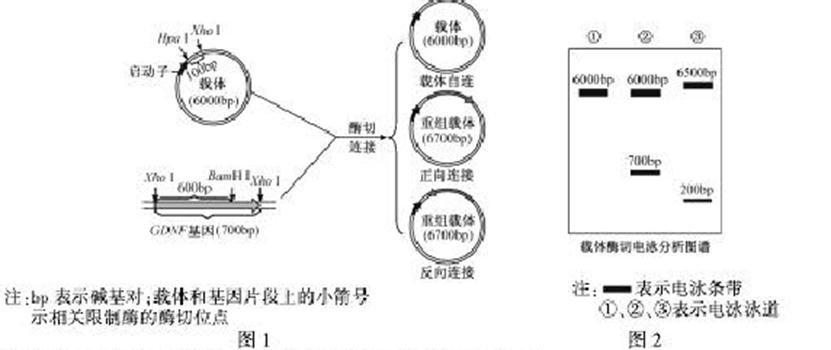 ^91考试网高考频道(^91exam.org),中国最大的高考网站,您身边的高考专家。