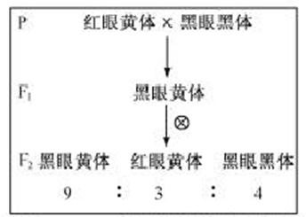 ^91考试网高考频道(^91exam.org),中国最大的高考网站,您身边的高考专家。