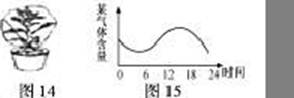 ^91考试网高考频道(^91exam.org),中国最大的高考网站,您身边的高考专家。