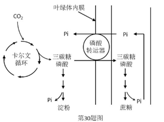 ^91考试网高考频道(^91exam.org),中国最大的高考网站,您身边的高考专家。