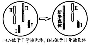 ^91�������߿�Ƶ��(^91exam.org),�й����ĸ߿���վ,�����ߵĸ߿�ר�ҡ�