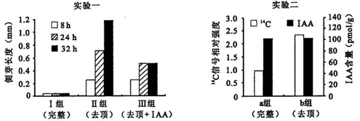 ^91�������߿�Ƶ��(^91exam.org),�й����ĸ߿���վ,�����ߵĸ߿�ר�ҡ�