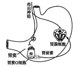 ^91�������߿�Ƶ��(^91exam.org),�й����ĸ߿���վ,�����ߵĸ߿�ר�ҡ�