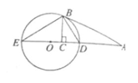 ^91߿Ƶ(^91exam.org),йĸ߿վ,ߵĸ߿רҡ