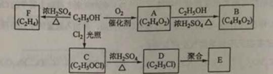 ^91߿Ƶ(^91exam.org),йĸ߿վ,ߵĸ߿רҡ