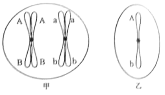 ^91考试网高考频道(^91exam.org),中国最大的高考网站,您身边的高考专家。