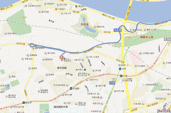 ˵��: ����