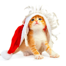 亚新·体育V6.4.4