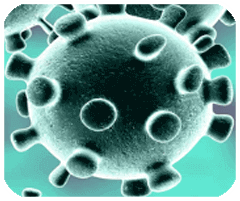 高跟我最美无广告版