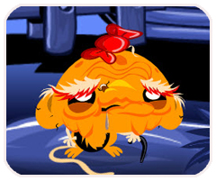 足球赌注软件app下载