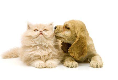 9号彩票官方入口查询下载